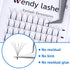 2Trays 5D Pre-Made Fans Volume Lashes 240 Fans